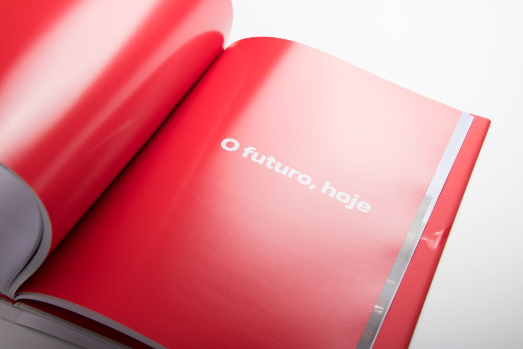 Livro comemorativo Luzimeca: "O futuro, hoje"